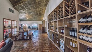 Amplia habitación con piso de madera, una amplia estantería de madera para vinos y vistas a través de una ventana.