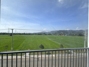 A view of a green field with a road in the foreground and a distant mountain range.