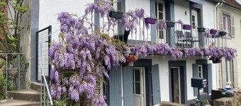 Le Lodge de Serenite