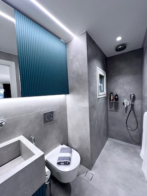 Basement luxury room with beautiful private terrace | Badrum