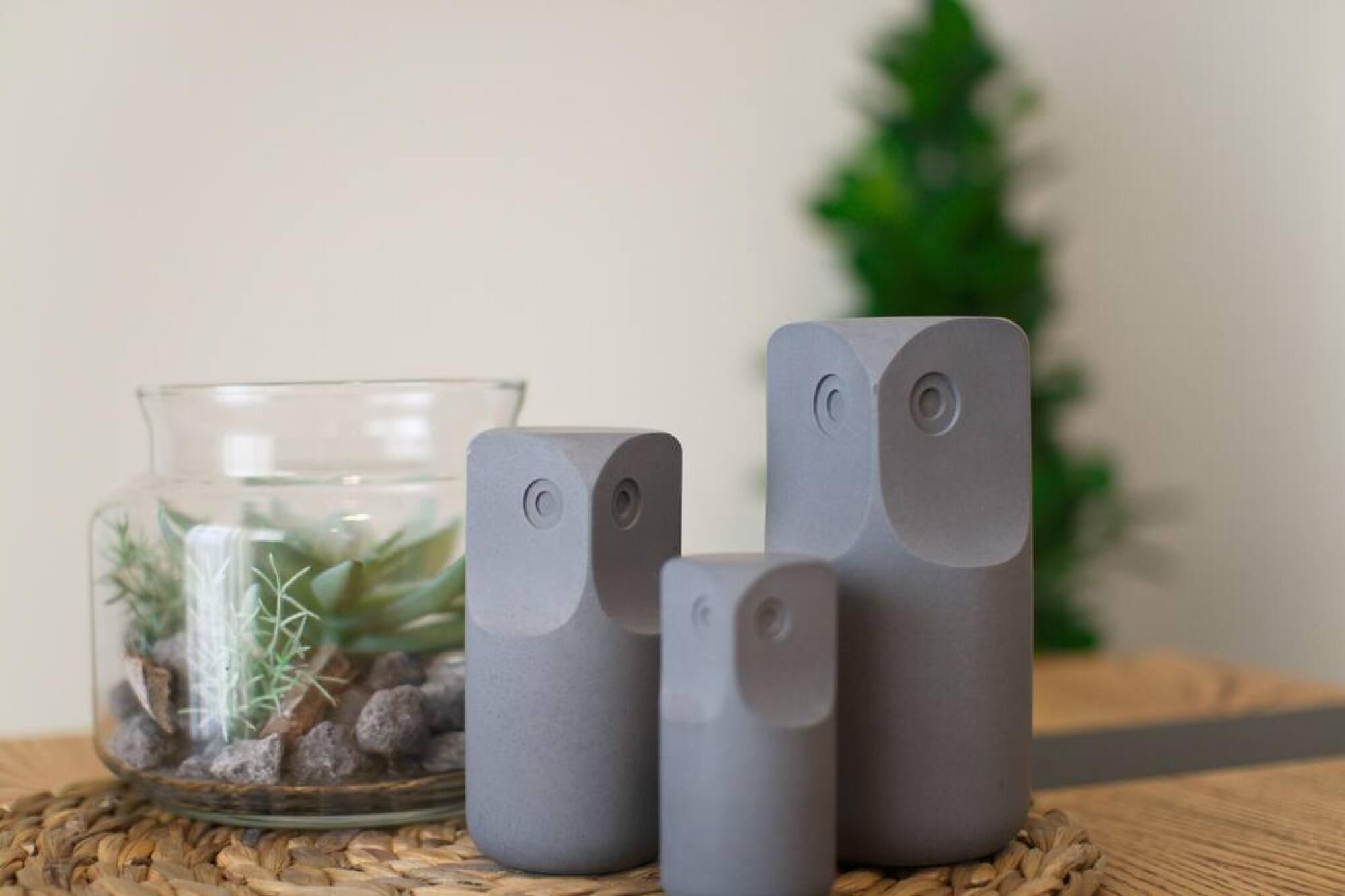 Tre grå, cylinderformede genstande med runde udskæringer, placeret på en vævet måtte ved siden af en glaskrukke med planter.
