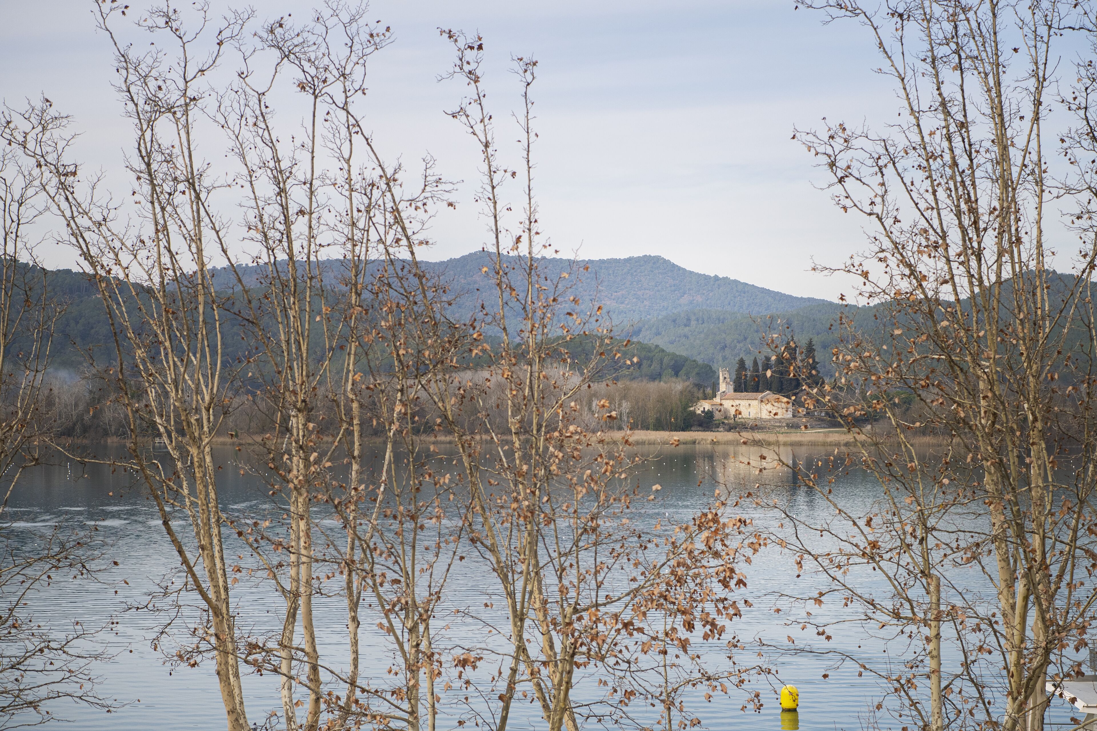 A lake with leafless trees in the foreground and a mountain in the background.