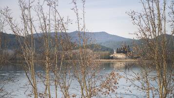 A lake with leafless trees in the foreground and a mountain in the background.