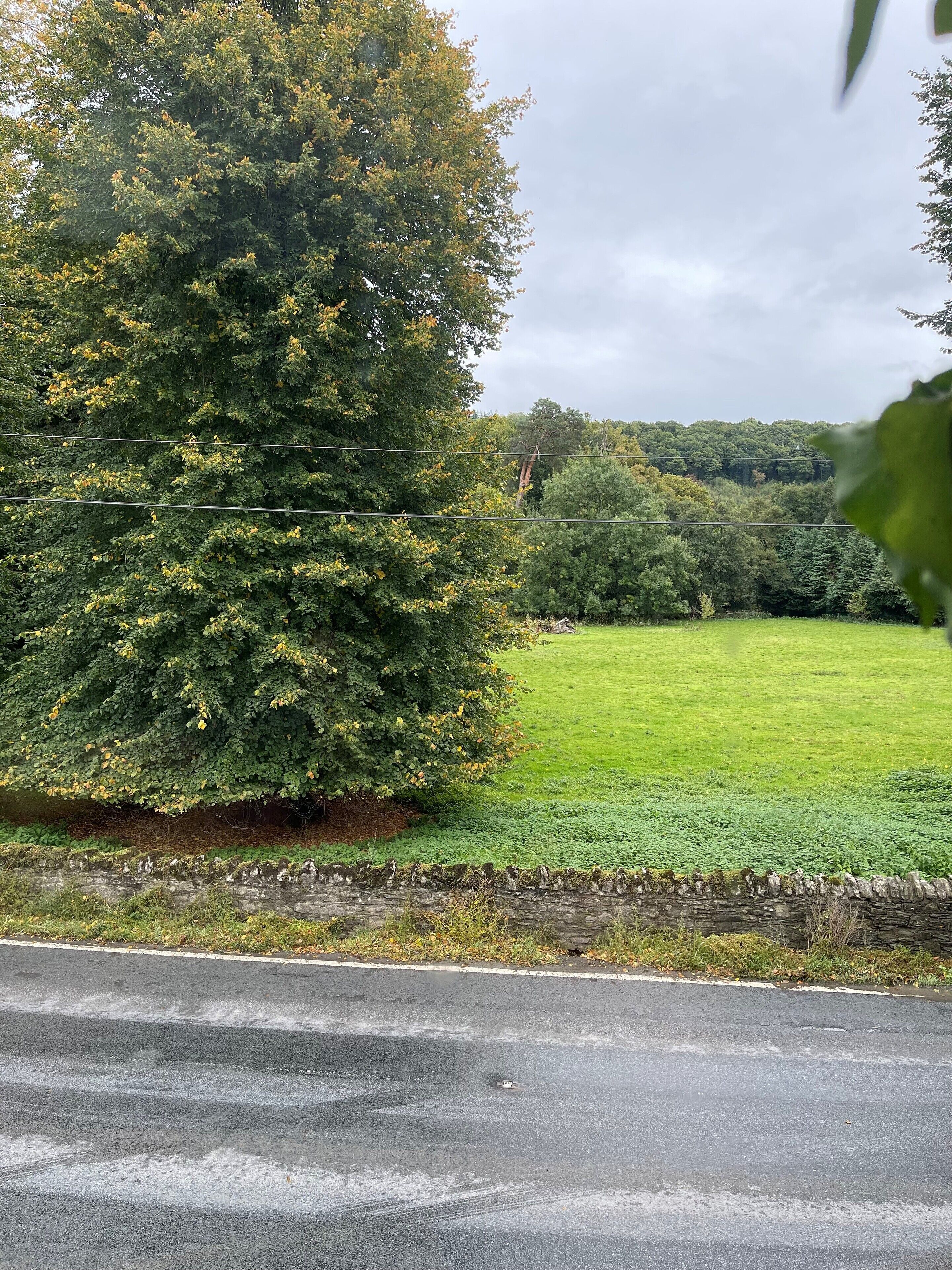 Een landelijk landschap met een grote boom, een stenen muur en een grasveld.