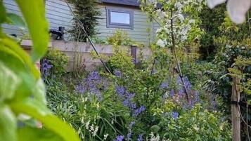 Ein Garten mit verschiedenen Pflanzen und Blumen vor einem Haus.