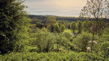 A lush green landscape with dense trees and a clear sky.
