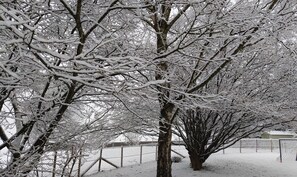 Photo non classée, 4 sur 31, bouton