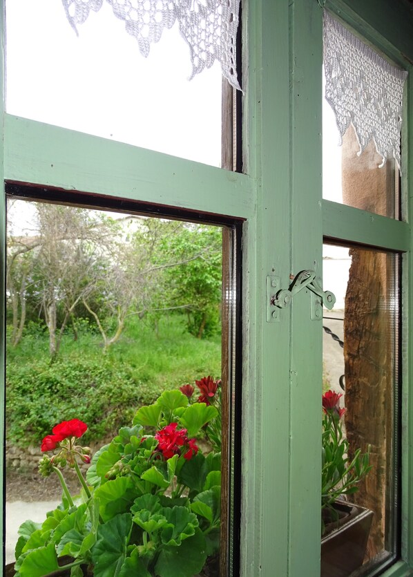 Una ventana con cortinas de encaje, un marco verde y vistas a plantas y flores afuera.