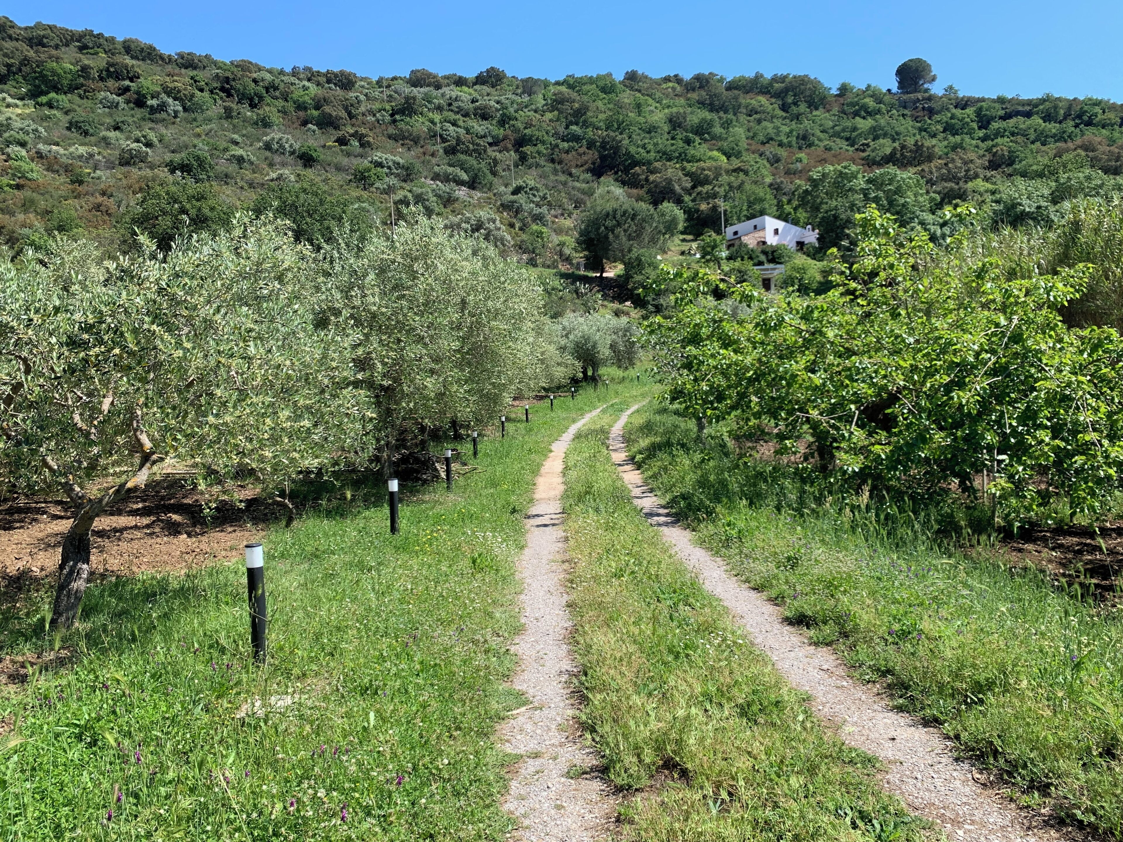 Overnatningsstedets område