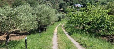 Overnatningsstedets område