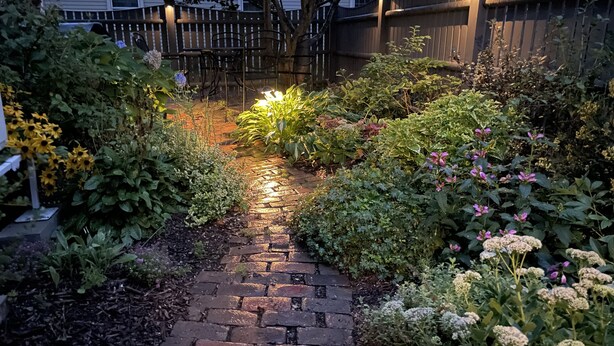 A garden pathway with a brick surface, surrounded by various plants and flowers. - Historic home with modern amenities in the heart of town, walk everywhere! (Marblehead)