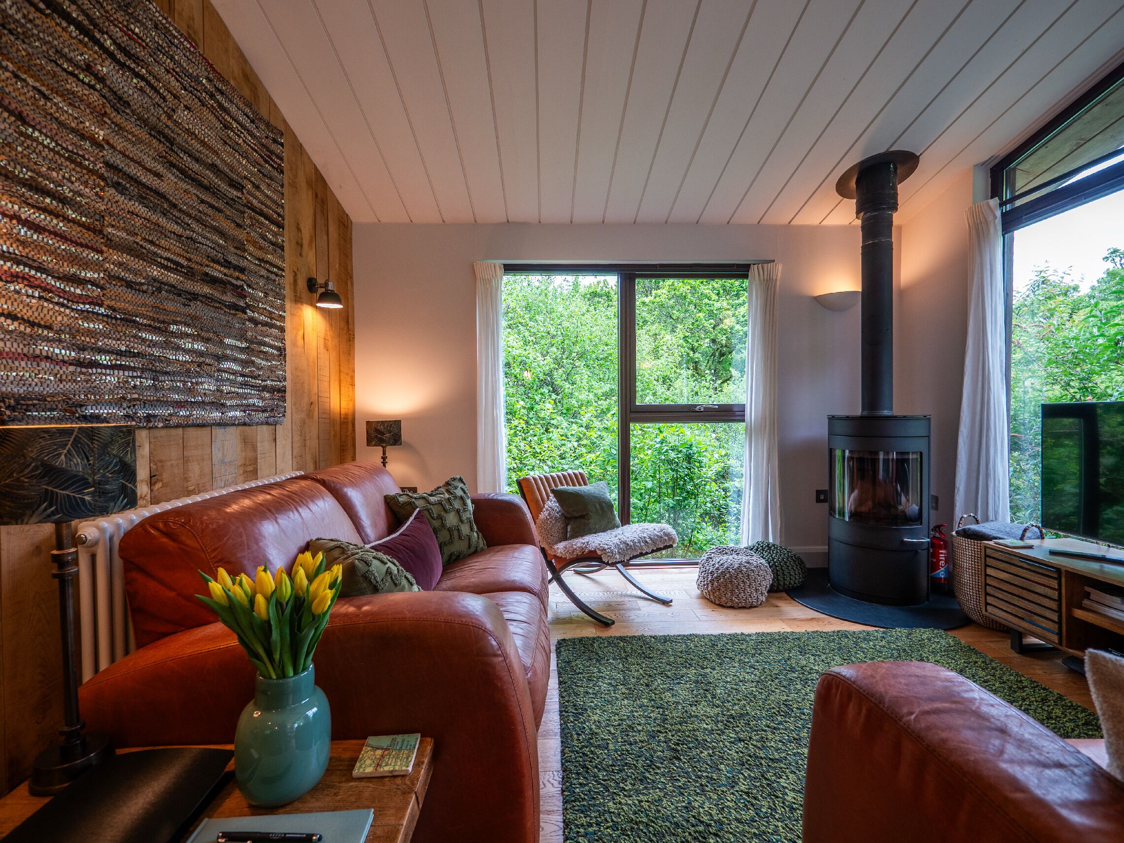 Smart TV, fireplace