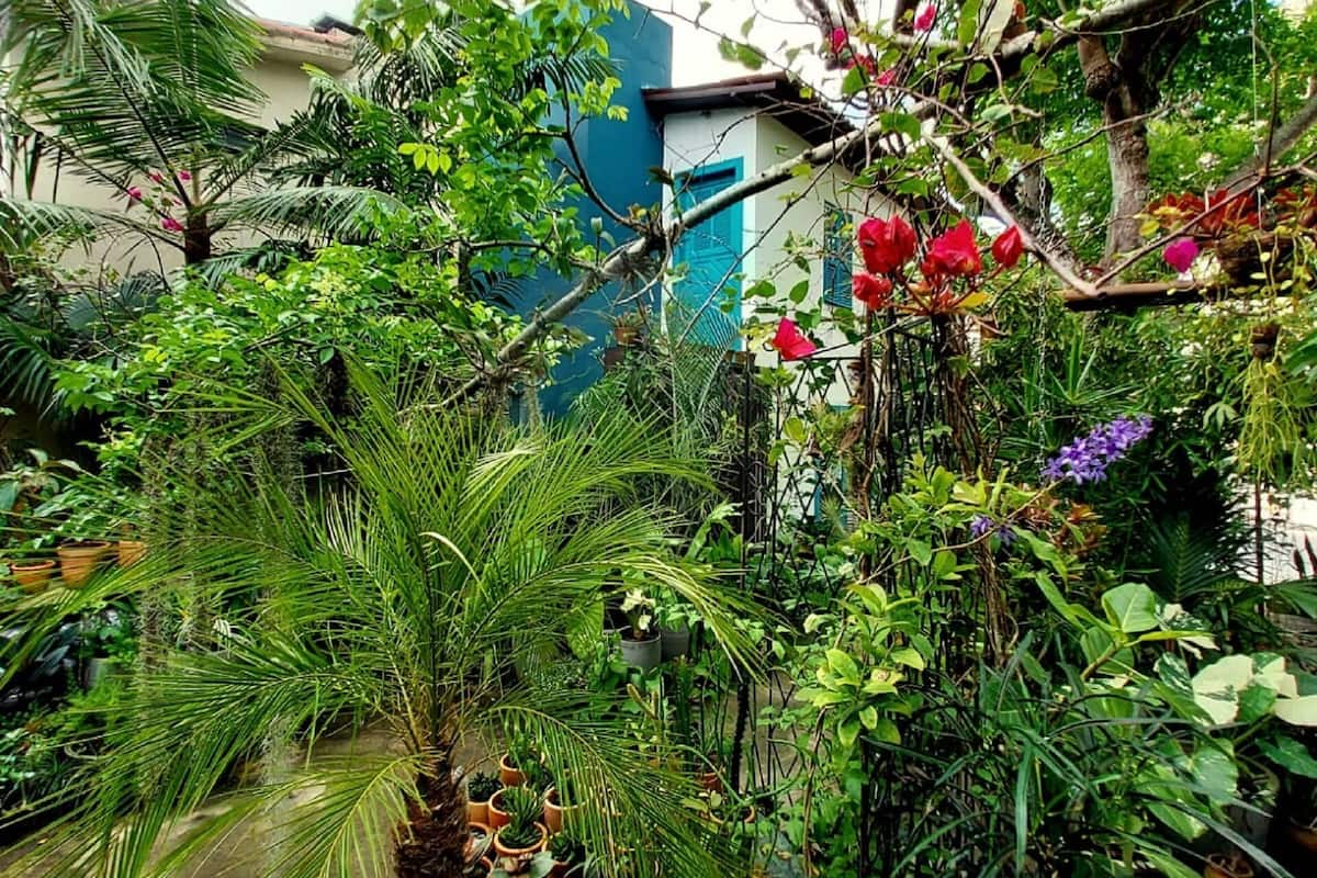 Un jardin luxuriant, avec une variété de plantes et une petite table ornée de plantes en pot.