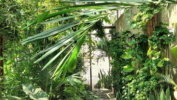 A narrow stone pathway flanked by lush tropical plants and hanging baskets with red flowers. - Residencial Casa Flor Atelier Botânico, Ponta Negra (Natal)