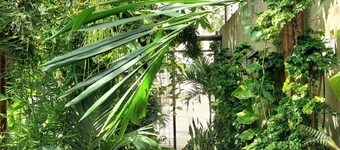  Residencial Casa Flor Atelier Botânico, Ponta Negra