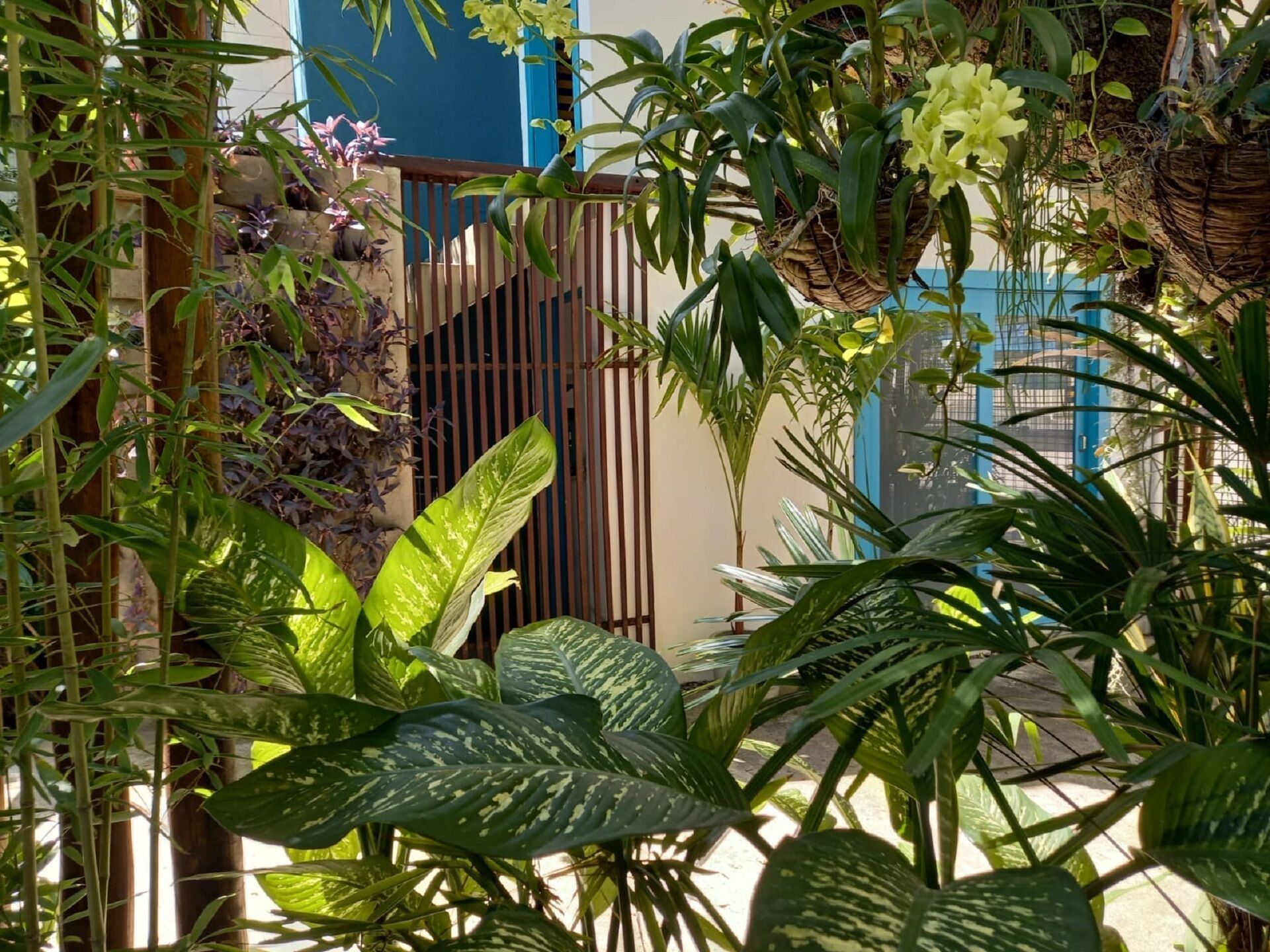 Apartamento clássico, vista para o jardim | Individualmente decorados, cortinas blackout, Wi-Fi de cortesia