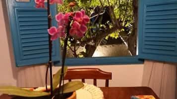 Comfort Apartment | View from room