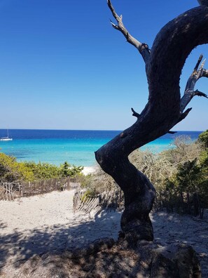 A beach with a large tree in the foreground, a sandy path, and a boat on the water in the background. - Bleu Horizon en Tout Compris (Linguizzetta)