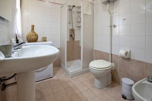 Shower, hair dryer, bidet, towels