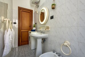 Shower, hair dryer, bidet, towels