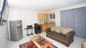 A compact living space with a kitchenette, a sofa, a coffee table, and a television.