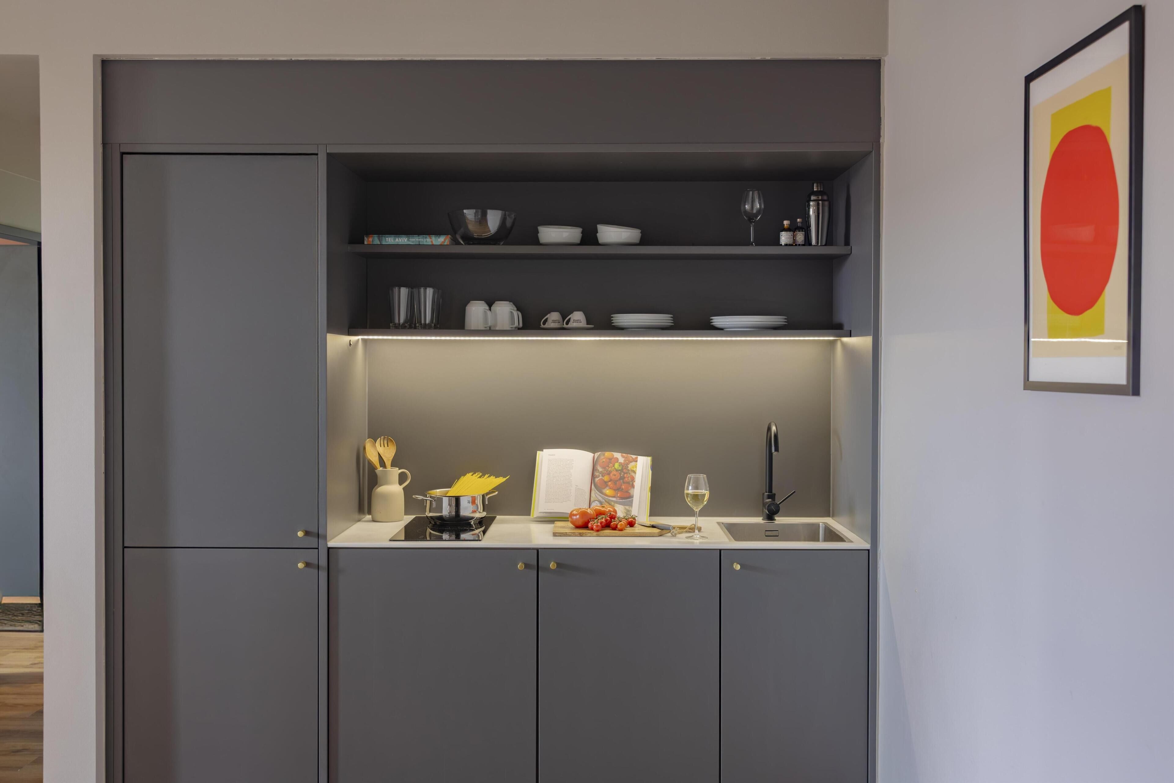 Microondas, placa de cocina, lavavajillas y hervidor eléctrico