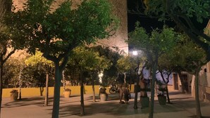 A historic building with a prominent tower, surrounded by trees and a paved walkway. - Home SEA&DREAMS OldTown IV (Calp)