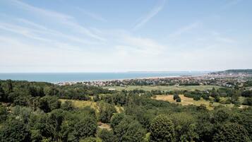 A panoramic view of a coastal town with dense greenery, a beach, and a clear sky.