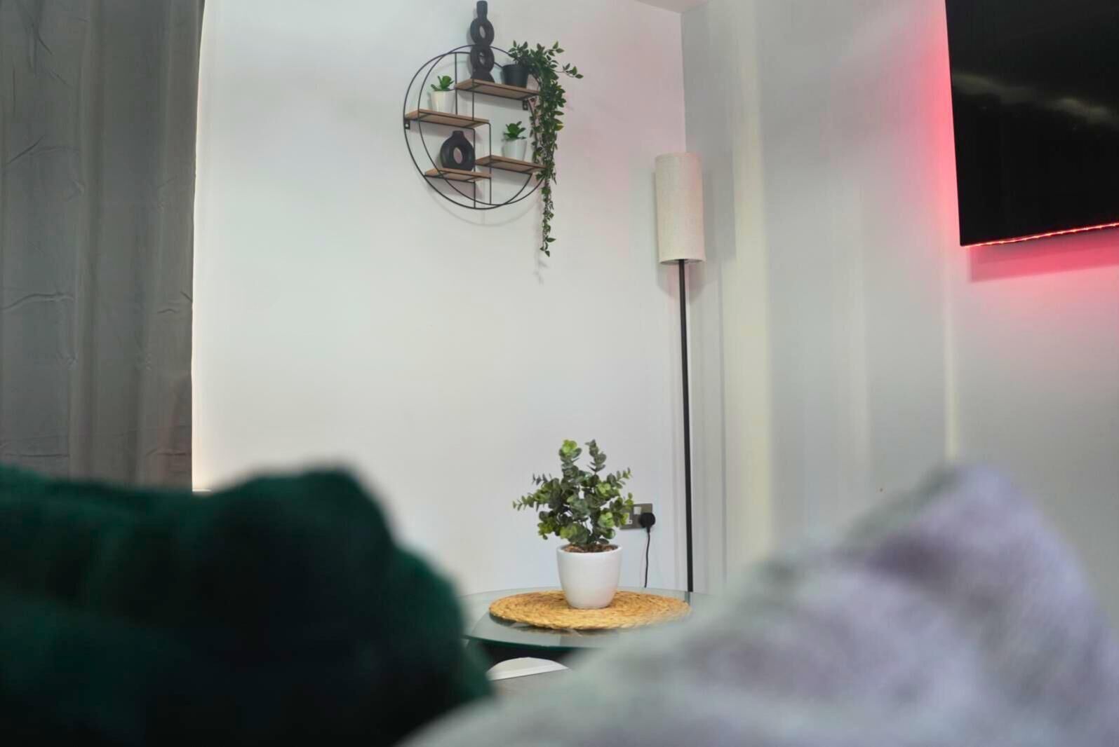 A room with a white wall, a round shelf with plants, a lamp, and a TV.