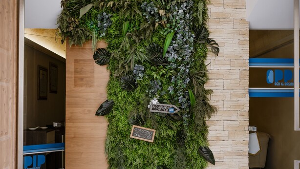 A reception area with a vertical garden wall, a wooden desk, and a stone wall.