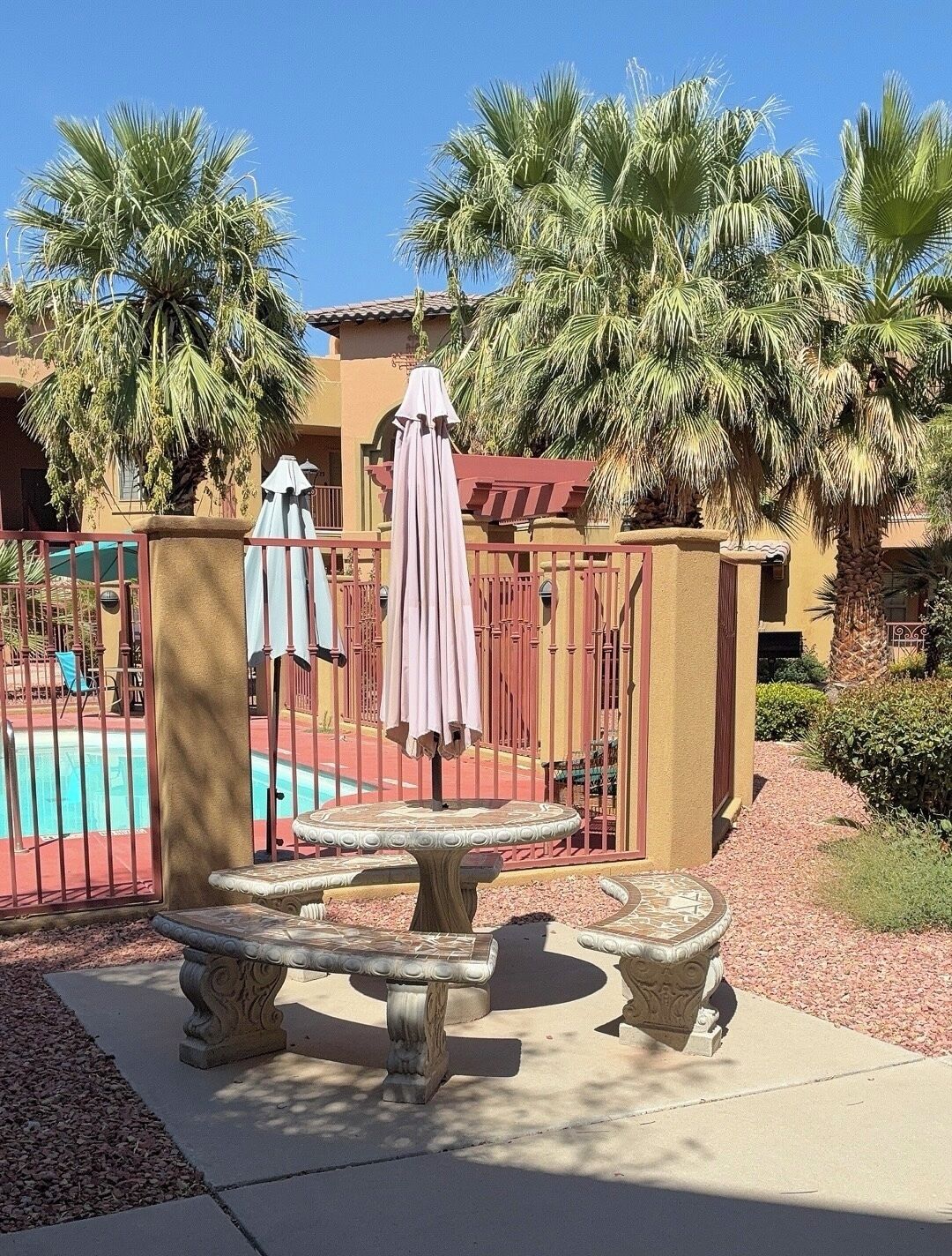 A pool area with a palm tree, a covered seating area, and a stone bench.