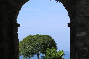 Miscellaneous - Countryside near the sea "Germano" (Toscana)