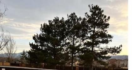 Hot Tub & Mountain Views; Theatre; Sauna; Piano; Two tier deck; Kid’s room