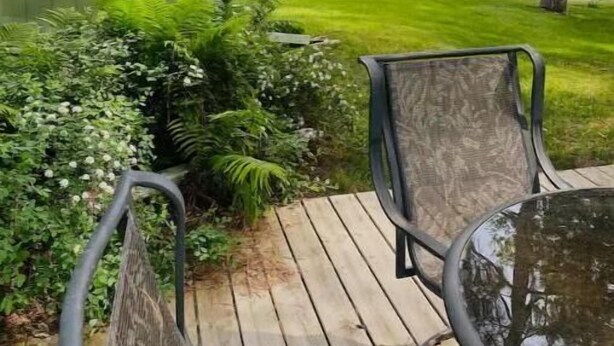 Una terrassa de fusta amb cadires metàl·liques, una casa verda i un jardí ben cuidat amb arbres.