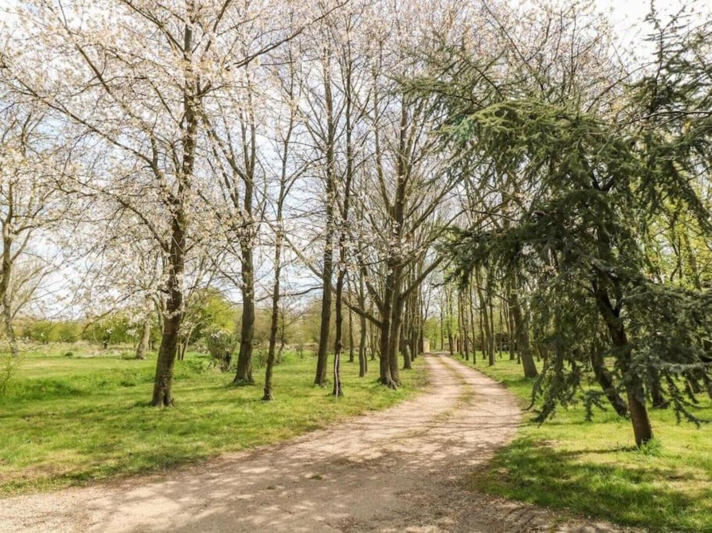 Ein schmaler Feldweg, gesäumt von Bäumen in einer Parkanlage.