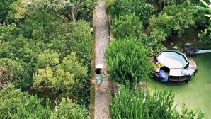 Eine Vogelperspektive auf einen üppigen Garten mit Schwimmbecken und einer Holzterrasse.