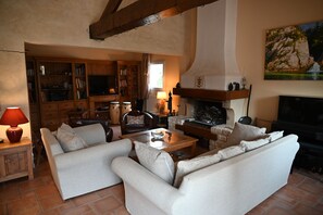 Télévision, cheminée, livres, chaîne hi-fi