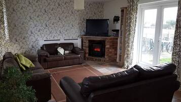 Smart TV, fireplace, DVD player, books