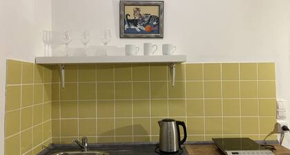 Family Apartment No13 im Stadtzentrum am Park Teplice