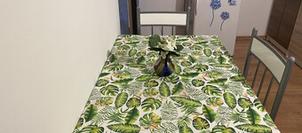 Family Apartment No13 im Stadtzentrum am Park Teplice