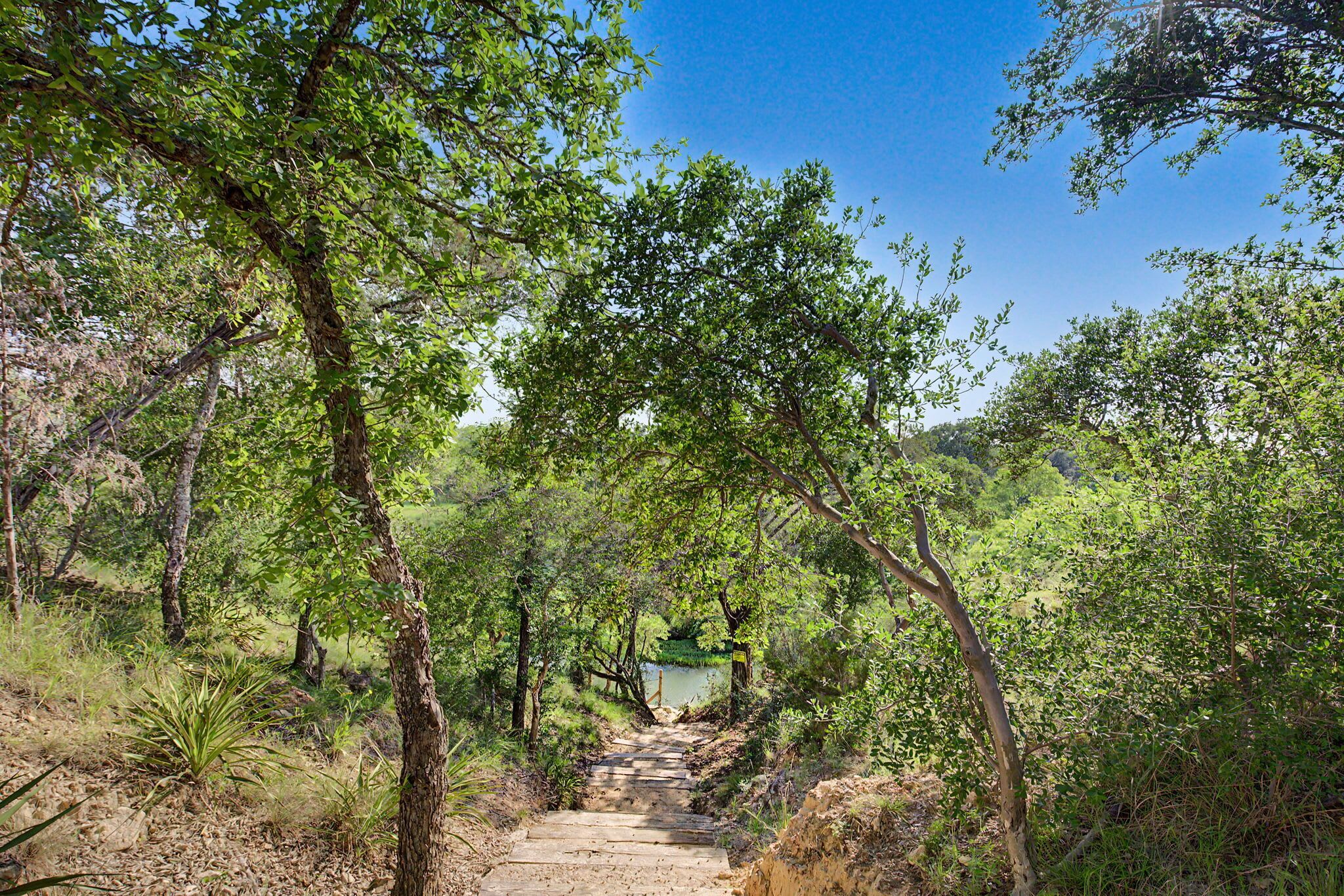 Un sendero que atraviesa un área boscosa con una pequeña construcción al final.