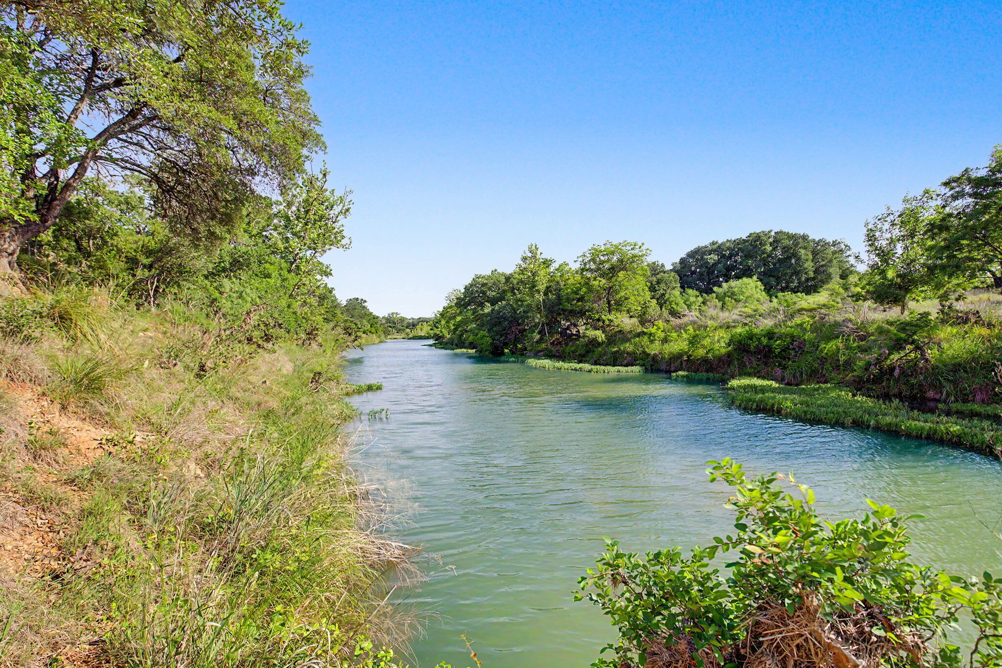 Un río bordeado por abundante vegetación y árboles.