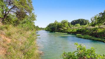 Un río bordeado por abundante vegetación y árboles.