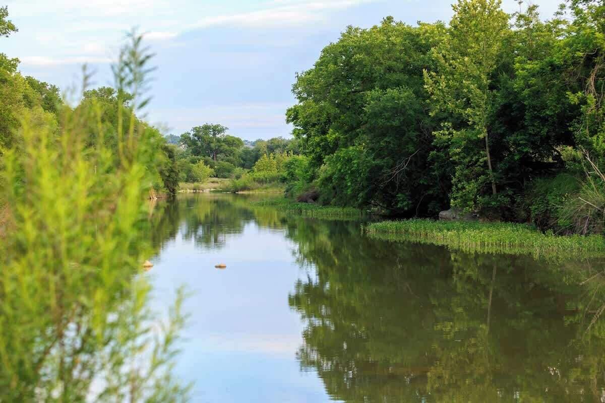En rolig flod med frodig vegetation på begge sider.