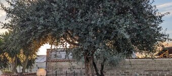 La Villetta del Gelso Bianco