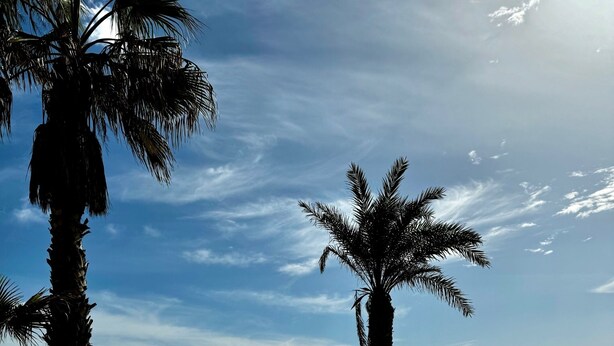 A beach with sand and palm trees. - Elegante Casa con Vistas al mar en la Playa #7 (Urbanova)