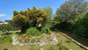 Un jardín con un sendero de piedra, diversas plantas y una pequeña fuente.