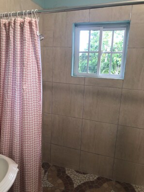 Double Room, 1 Queen Bed, Non Smoking, Kitchenette | Bathroom | Shower, towels, soap, toilet paper
