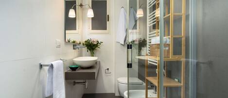 Shower, hair dryer, bidet, towels