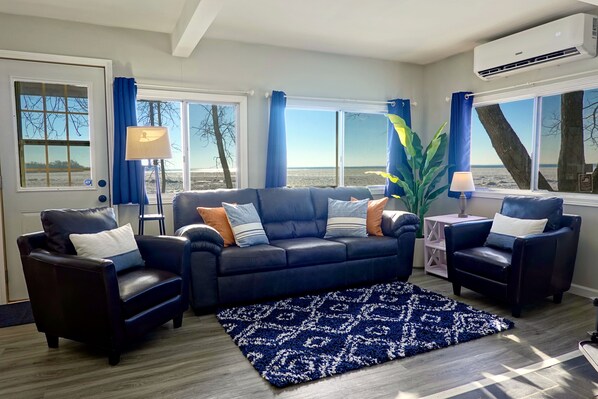 Smart TV, fireplace, books, computer monitors